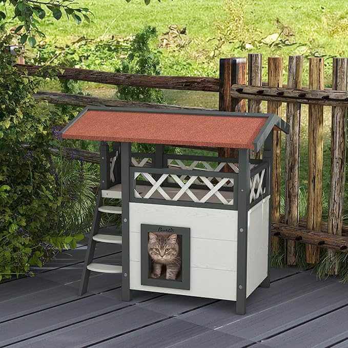 outdoor cat house