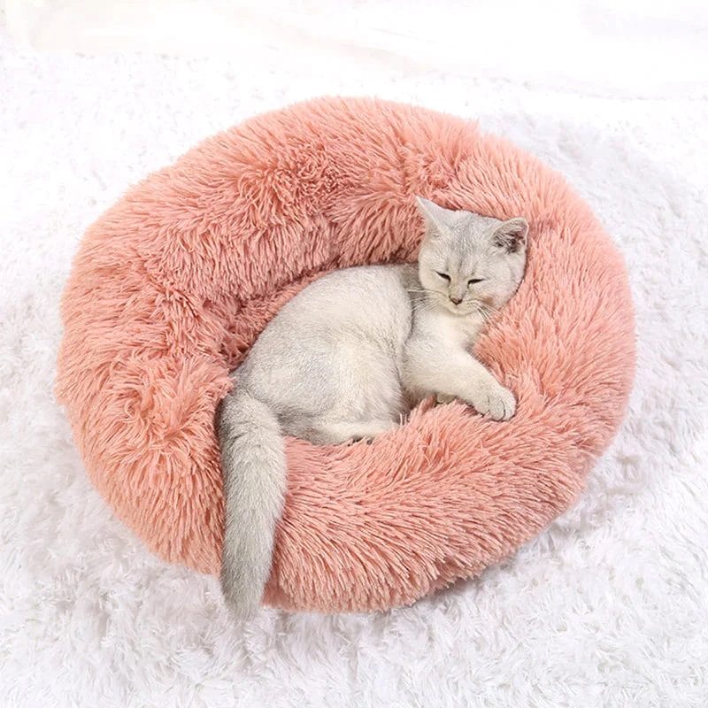 CAT SLEEPING ON A FLEECE CAT BED