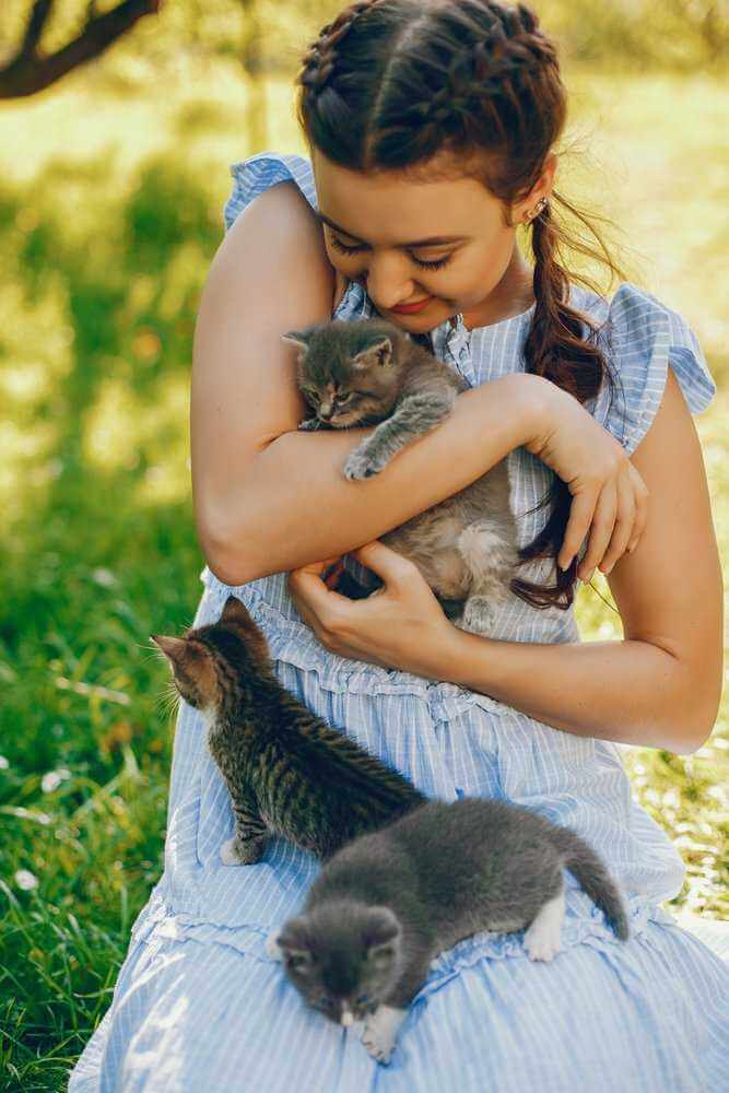 cat held by human 